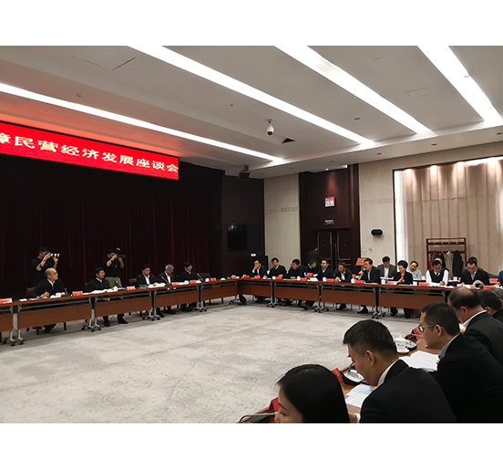 全国人大代表、2007so太阳集团董事长熊建明参加检察机关服务保障民营经济发展调研座谈会