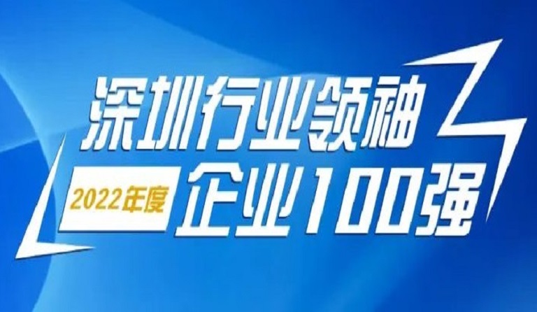 2007so太阳集团智源科技连续4年上榜“深圳行业领袖企业100强”